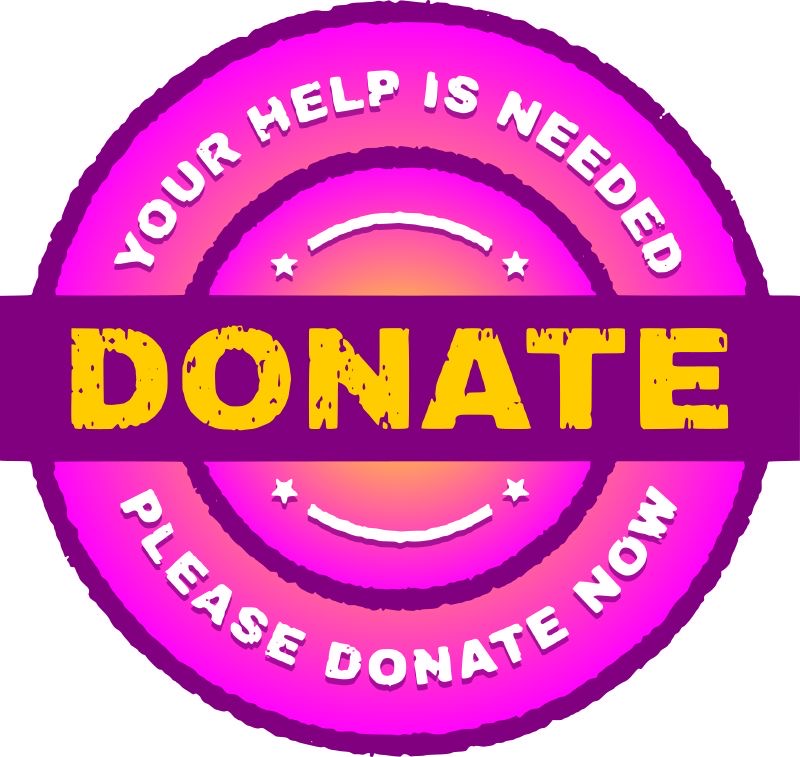 Help Naomi Prepare for Her Baby, and Start Fresh 