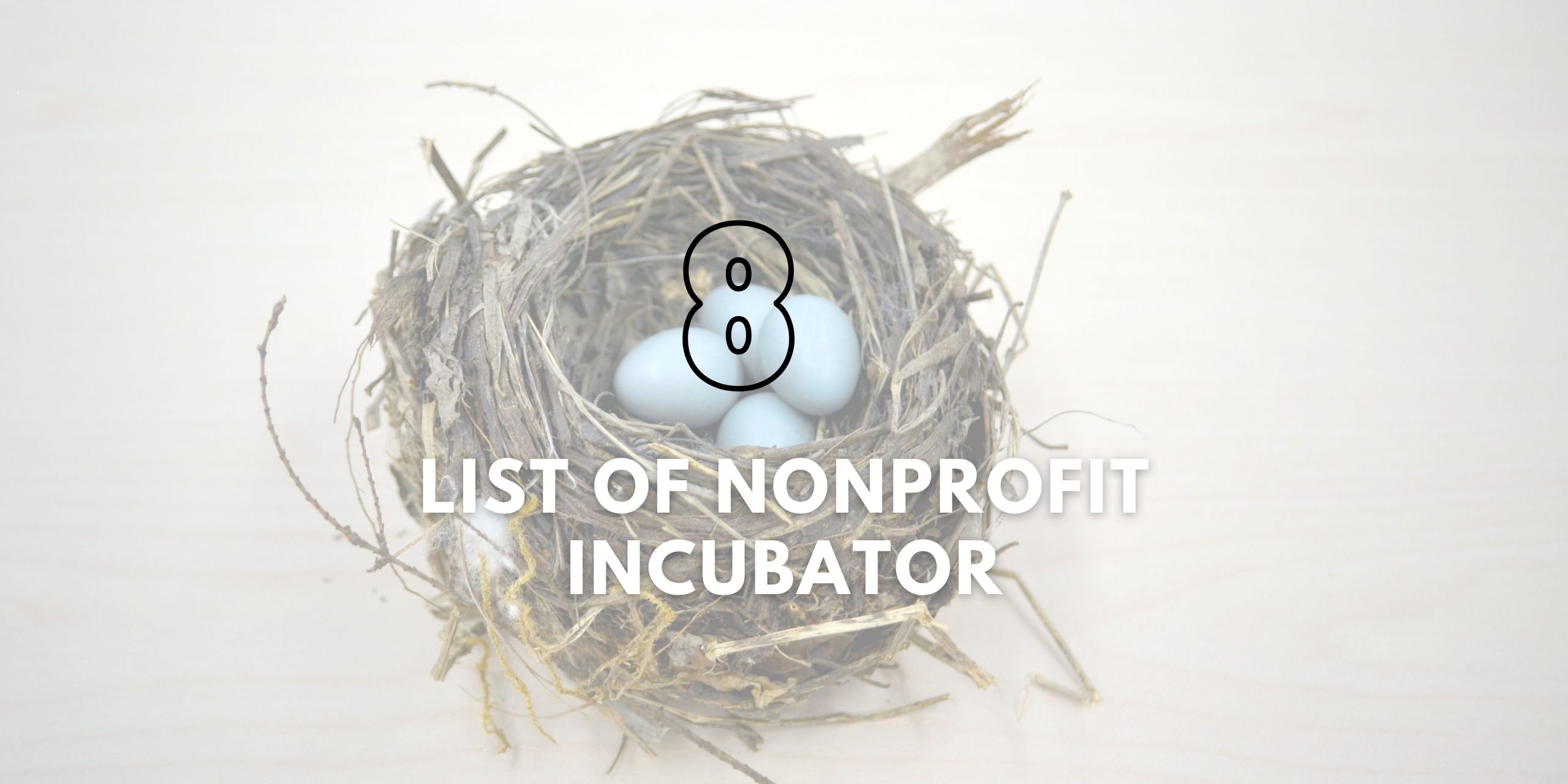 list of nonprofit incubator