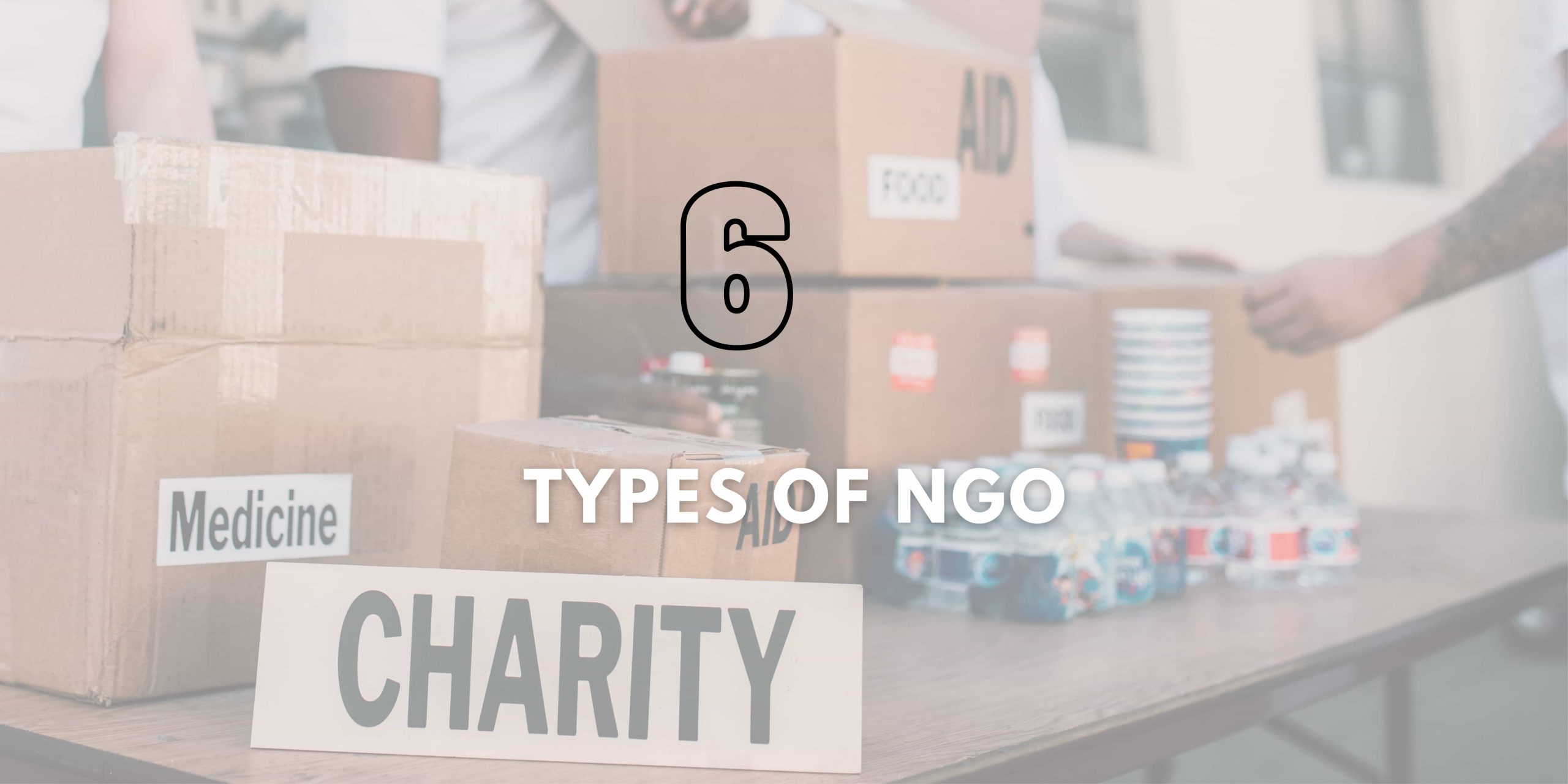 6 Types of NGO