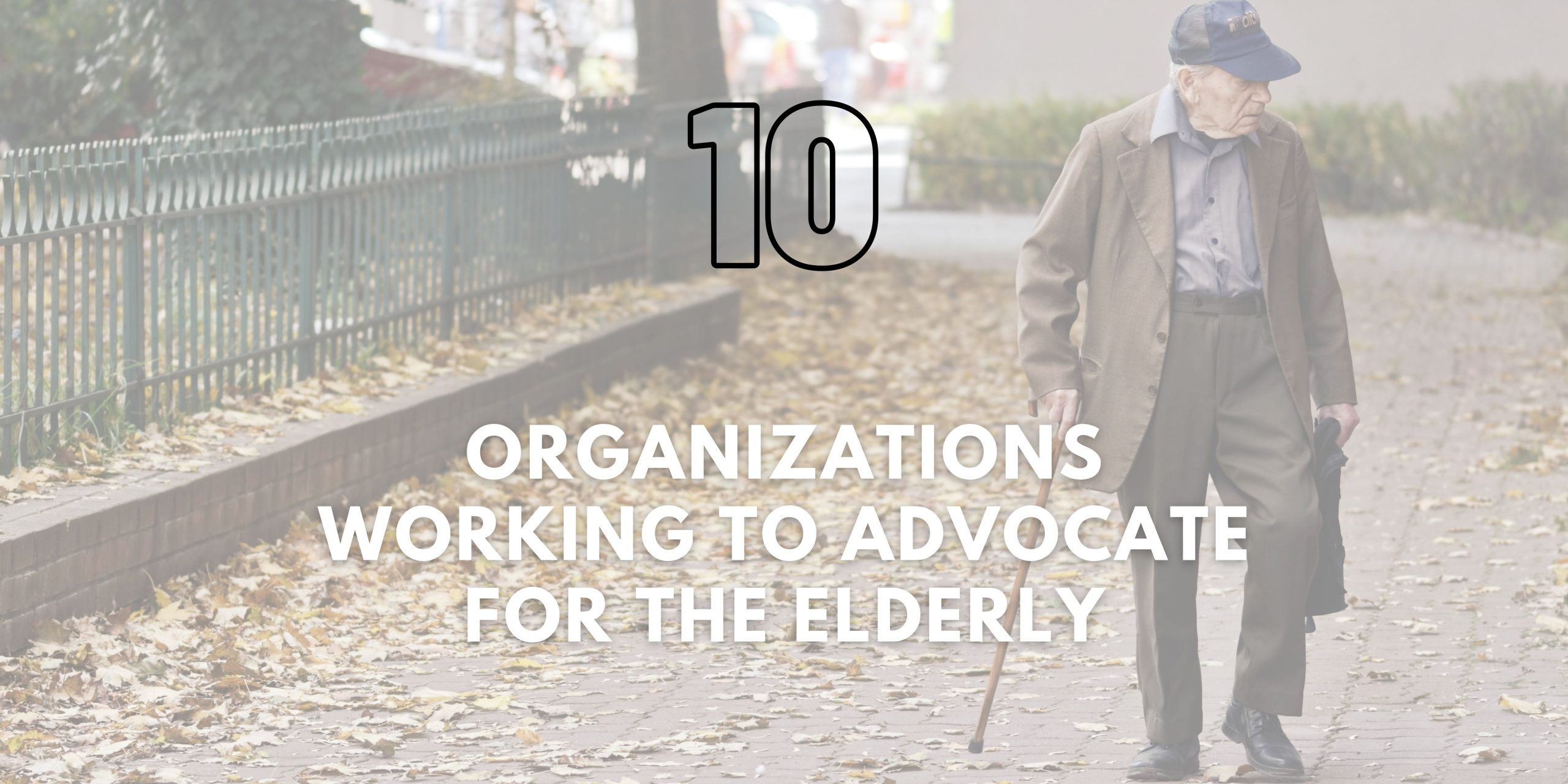 Organizations Working to Advocate for the Elderly in US