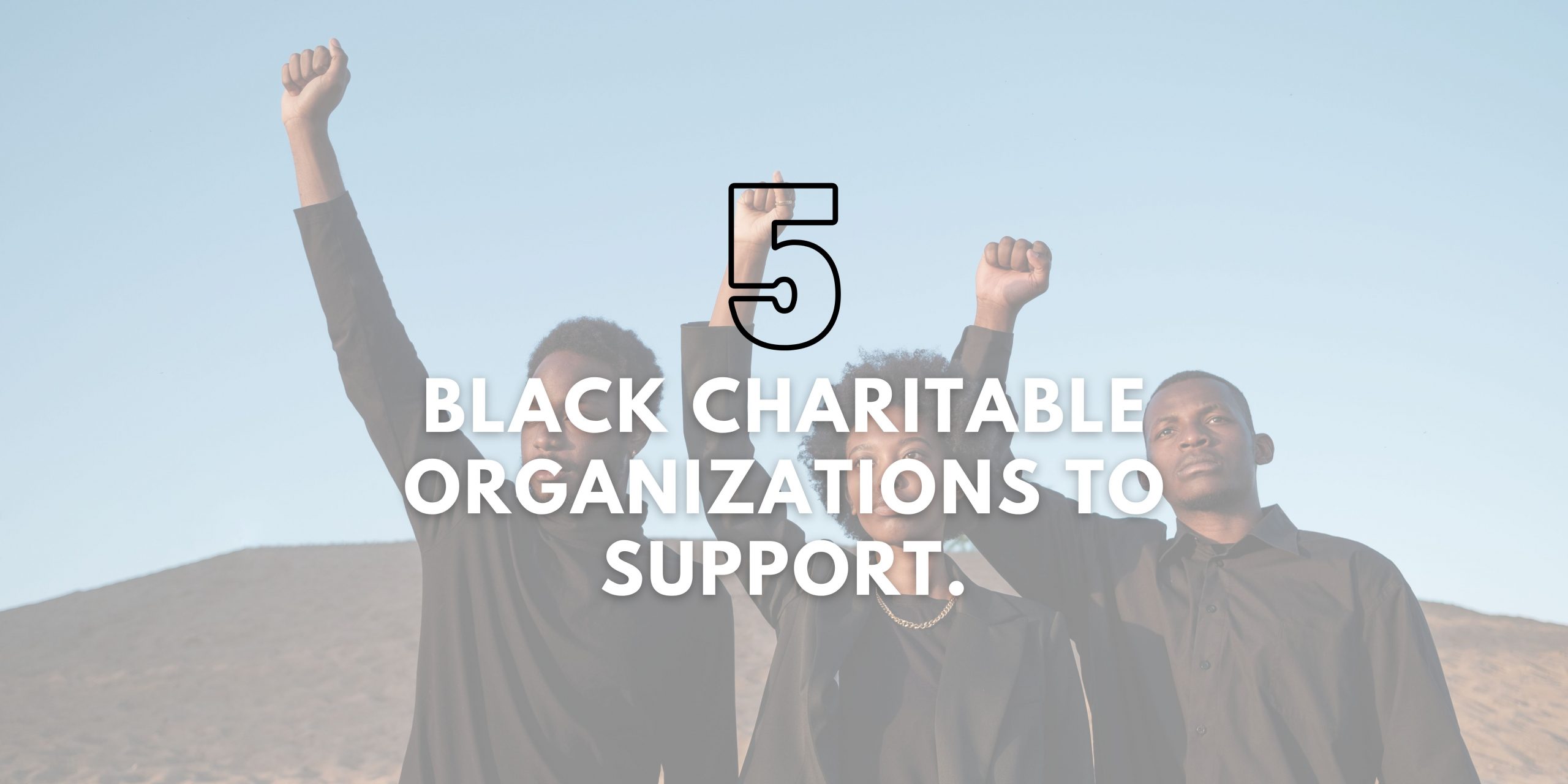 Black Charitable Organizations To Support.