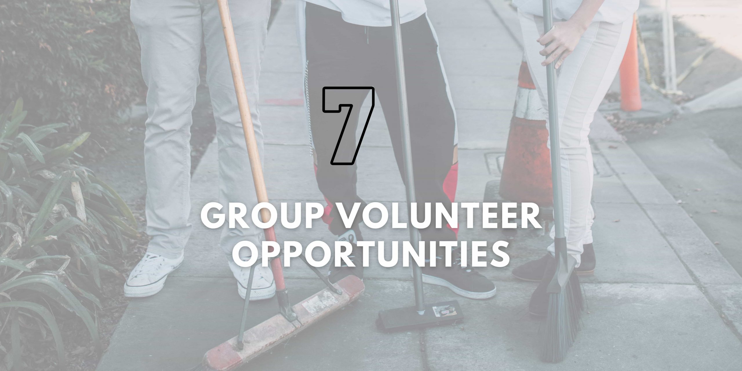 7 Group Volunteer Opportunities