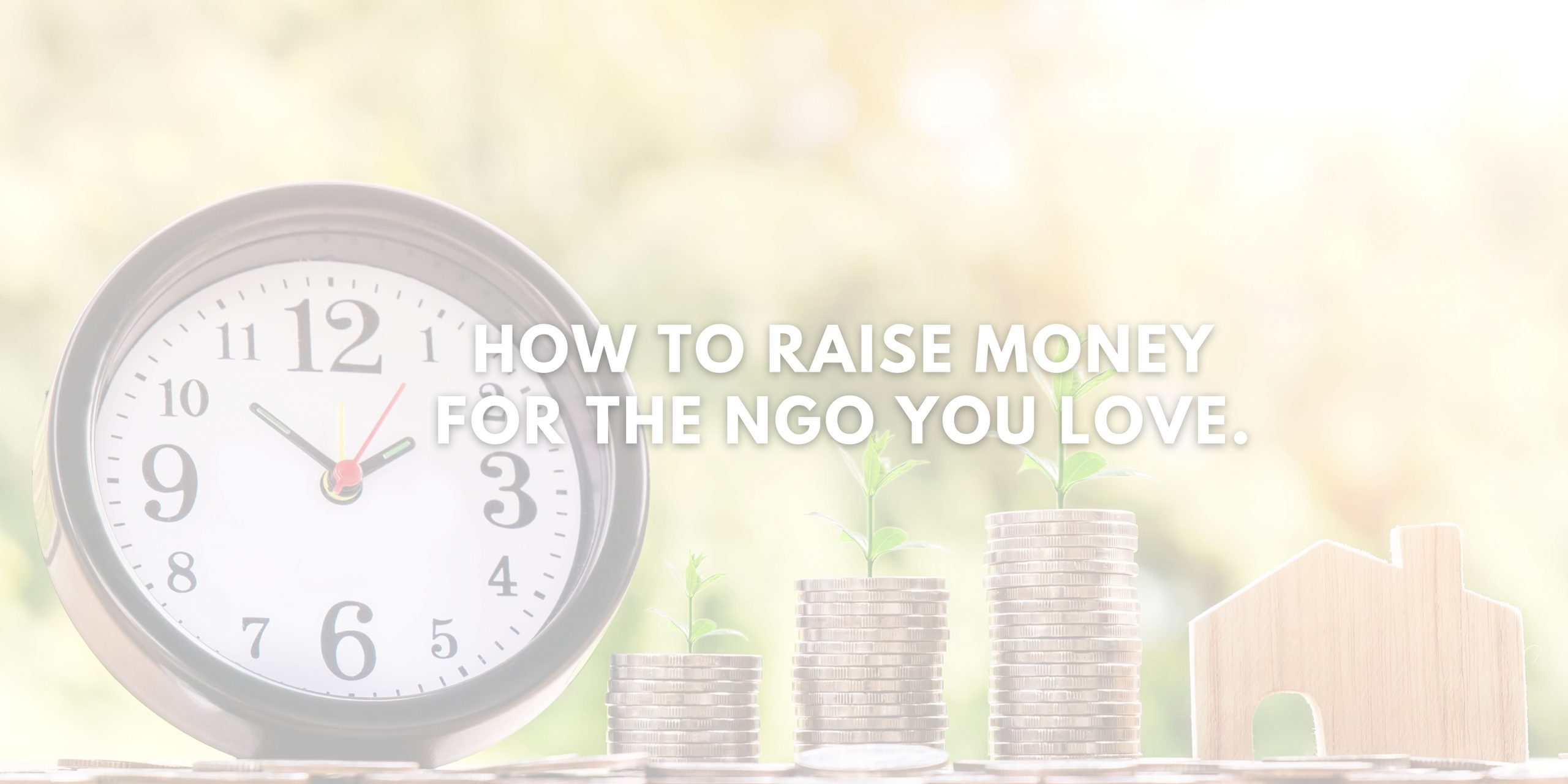 How to Raise Money for the NGO You Love.
