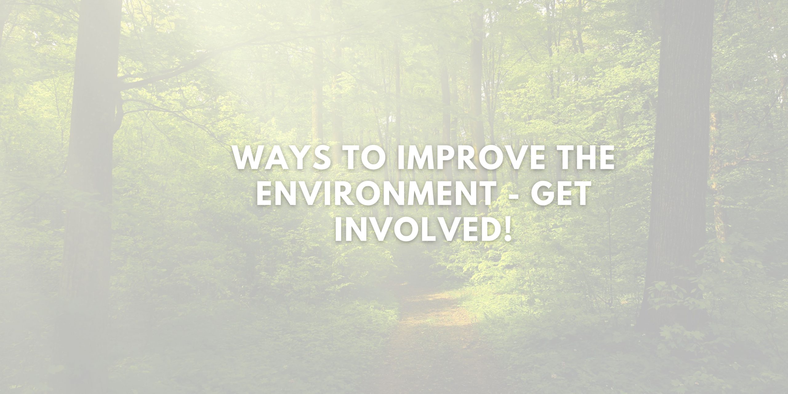 Ways to Improve the Environment - Get Involved!