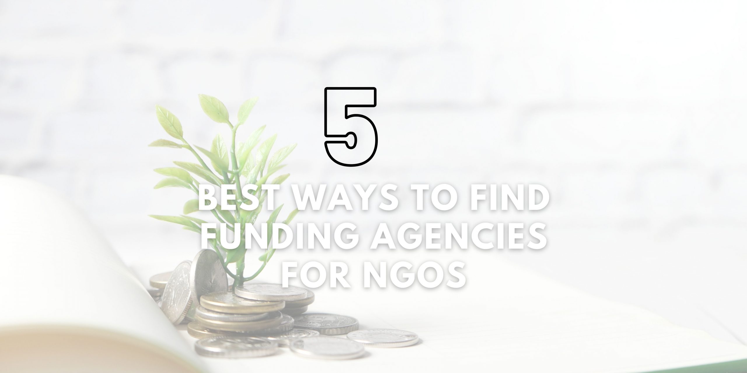 Funding Agencies for NGOs