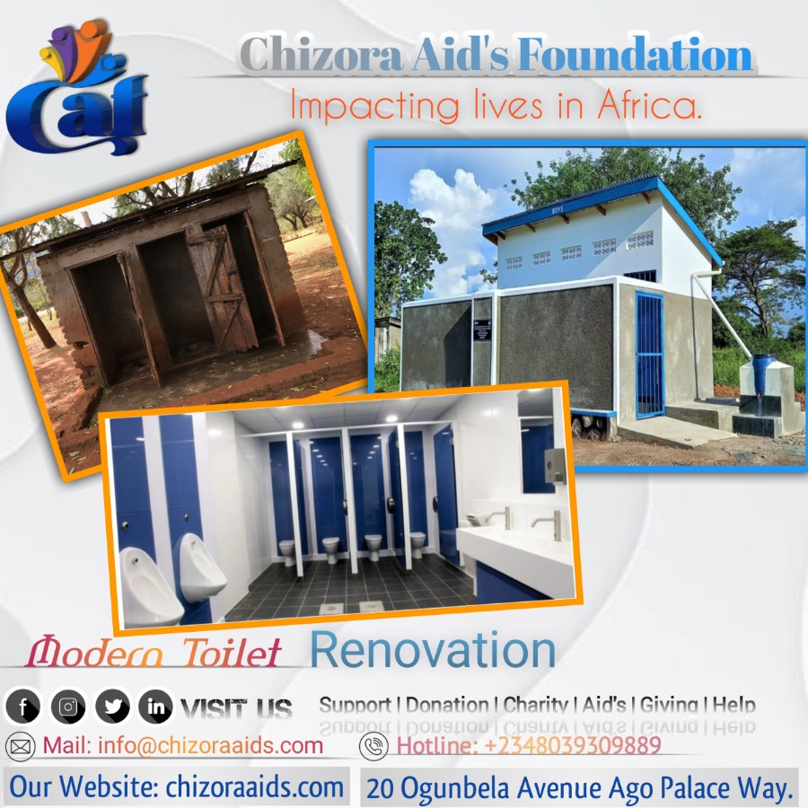 Toilet Renovation