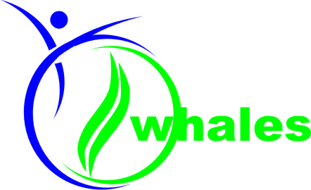 Beellahy Foundation (BF)