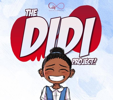 The Didi Project