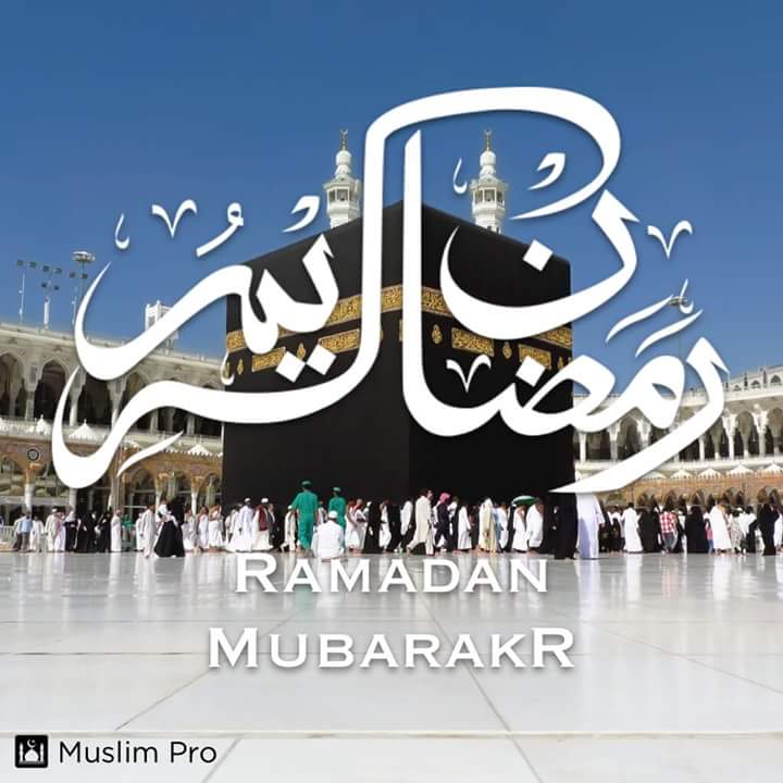 My Mini-fundraising for the Sakinah project (MPAC)