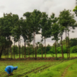 climate adaptation education for rural farmers