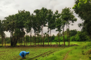 climate adaptation education for rural farmers