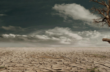 climate change action fund