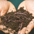 community composting education