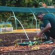 community garden funding