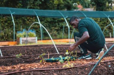 community garden funding