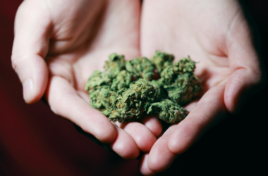 community led opioid crisis response fund