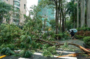 community storm cleanup fund