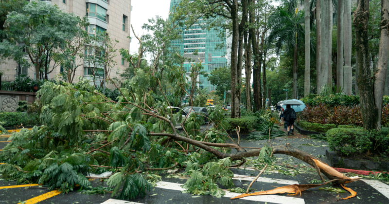 community storm cleanup fund