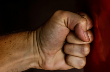 domestic violence survivor legal support fund