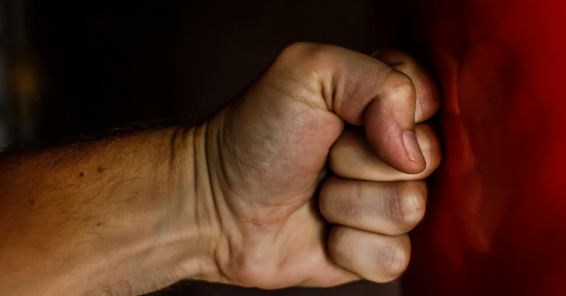 domestic violence survivor legal support fund