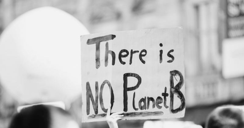 environmental awareness fundraiser