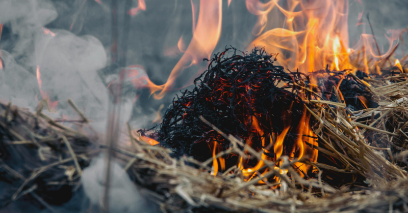 financial recovery for fire affected small farms