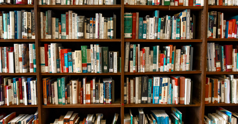 library literacy outreach