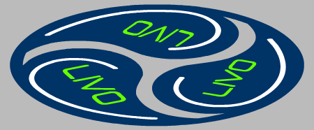 LIFE IMPACT VISION OUTREACH - LIVO