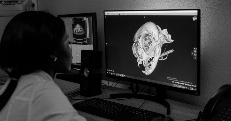 medical interpreter services for hospitals