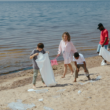 public beach cleanup project