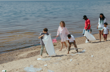 public beach cleanup project