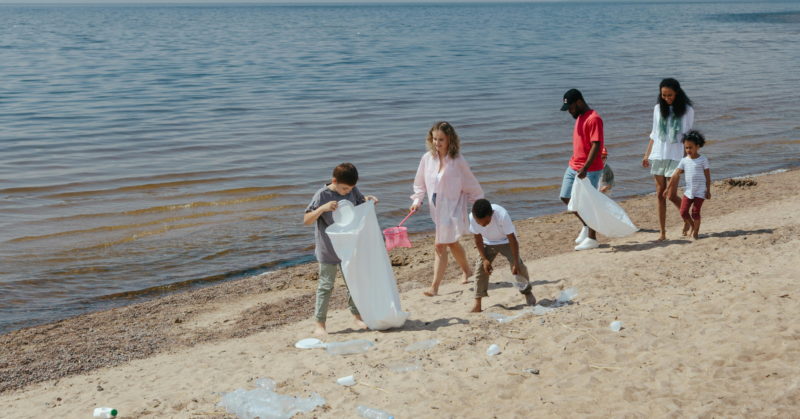 public beach cleanup project