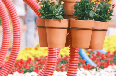 public park beautification project