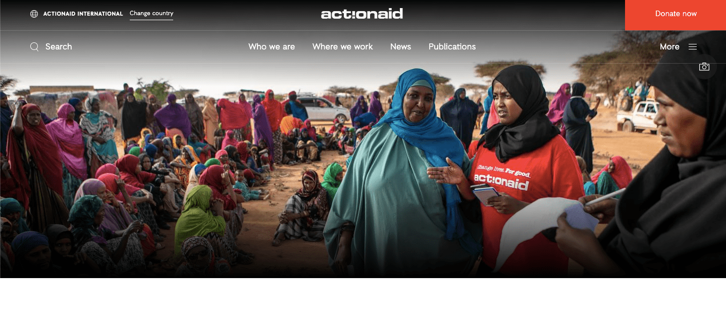 10 LOCAL CHARITIES TO DONATE TO IN NIGERIA | 6 actionaid 