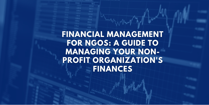 Financial Management for NGOs: A Guide To Managing Your Non-Profit Organization's Finances