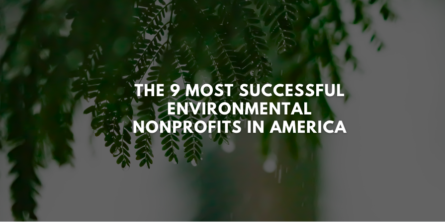 The 9 Most Successful Environmental Nonprofits in America