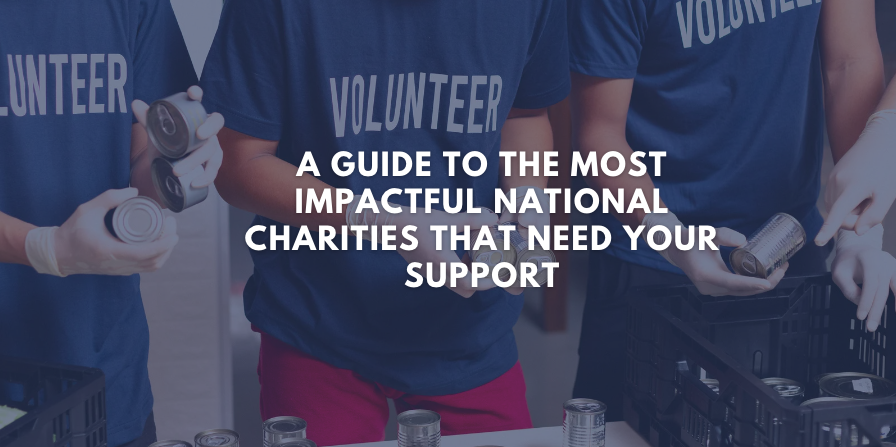 A Guide to the Most Impactful National Charities That Need Your Support