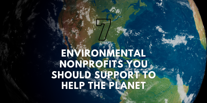 7 Environmental Nonprofits You Should Support To Help The Planet