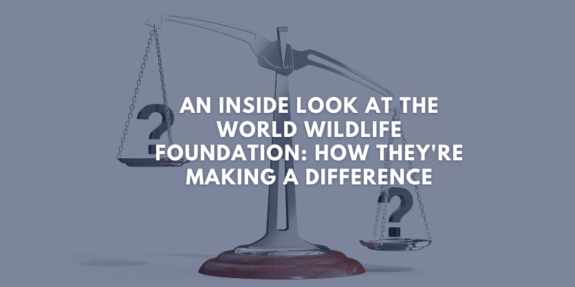 world wildlife foundation