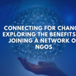 Connecting for Change: Exploring the Benefits of Joining a Network of NGOs