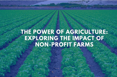 The Power of Agriculture: Exploring the Impact of Non-Profit Farms