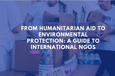 From Humanitarian Aid to Environmental Protection: A Guide to International NGOs