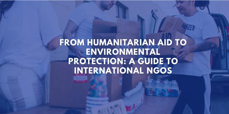 From Humanitarian Aid to Environmental Protection: A Guide to International NGOs