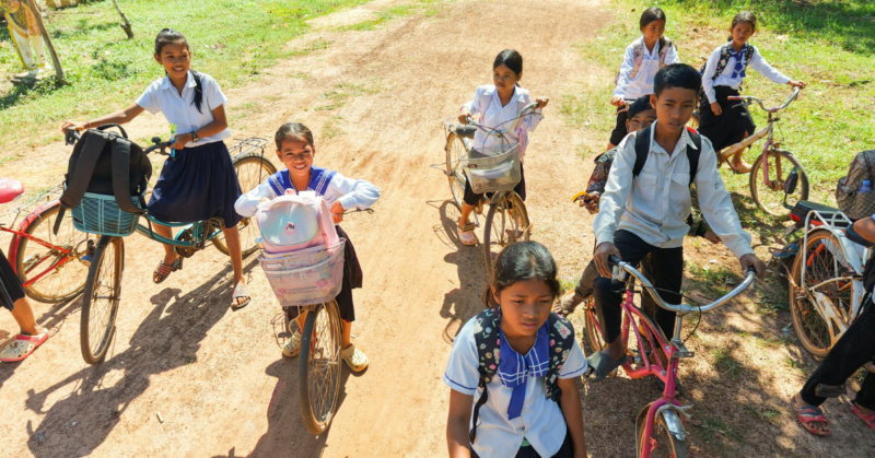 trauma-informed school training