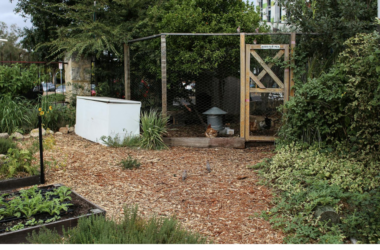 urban community garden expansion fund