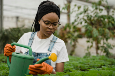 urban farm donations