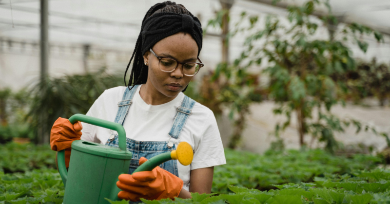 urban farm donations
