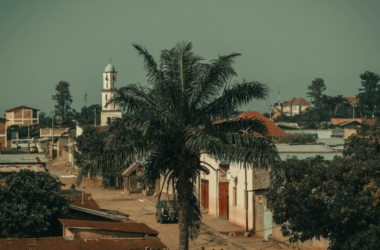 urban tree canopy improvement