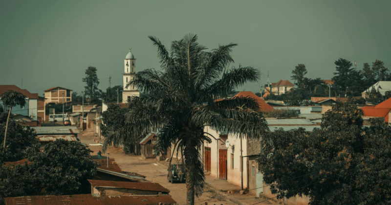 urban tree canopy improvement