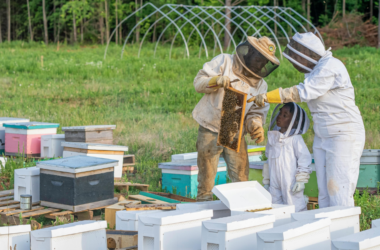 youth agriculture education initiative